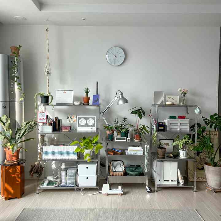 白い壁と自然光が溢れるリビング、ステンレスの棚と多様な植物が配置された印象的なモダンインテリア