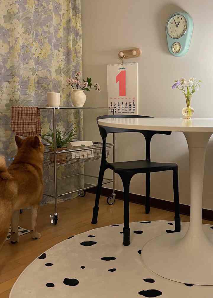 Natural-toned dining room featuring white dining table, black chair, trolley with plants, decorative vases, and a pet dog in cozy setting