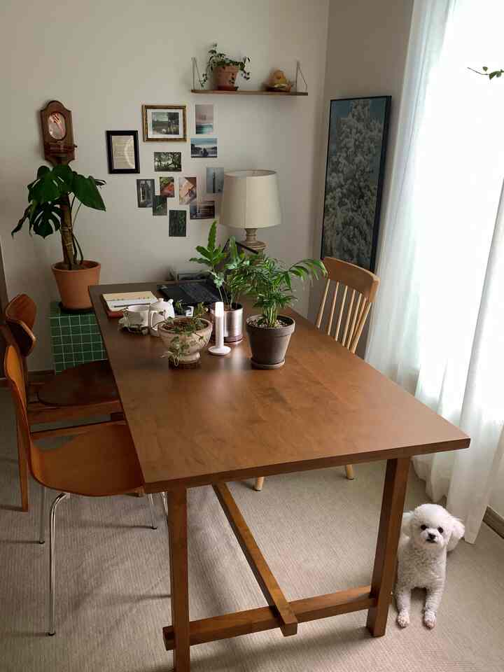 Natural wood tone dining room with white curtains, featuring plants on the dining table and around, creating a cozy atmosphere