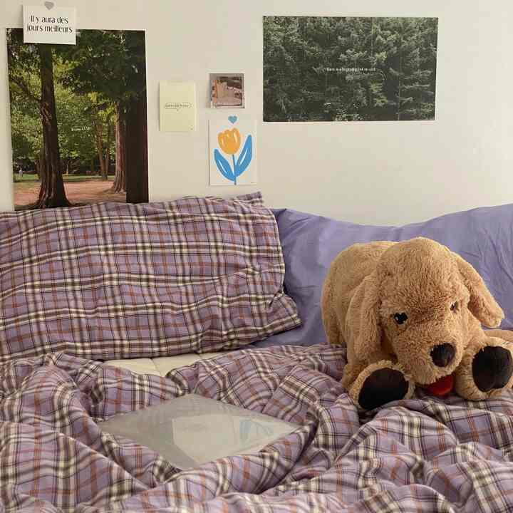 Purple plaid duvet-covered bedroom featuring a plush dog toy and nature-themed posters, creating a simple and natural atmosphere
