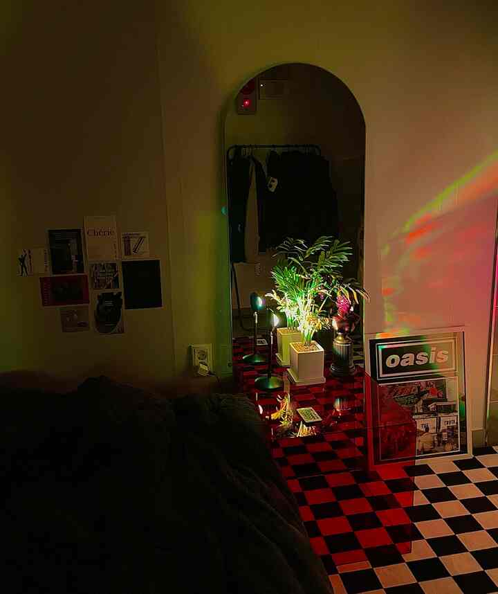 赤と黒のチェッカーボードラグとアーチ型の鏡、植物が配置された狭くてトレンディなワンルームのインテリア