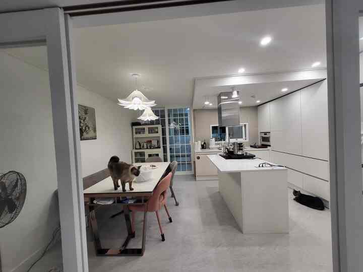 白を基調としたキッチンとダイニングルーム、キッチンアイランドとダイニングテーブルの上に2匹の猫がいる、清潔でモダンな印象の空間