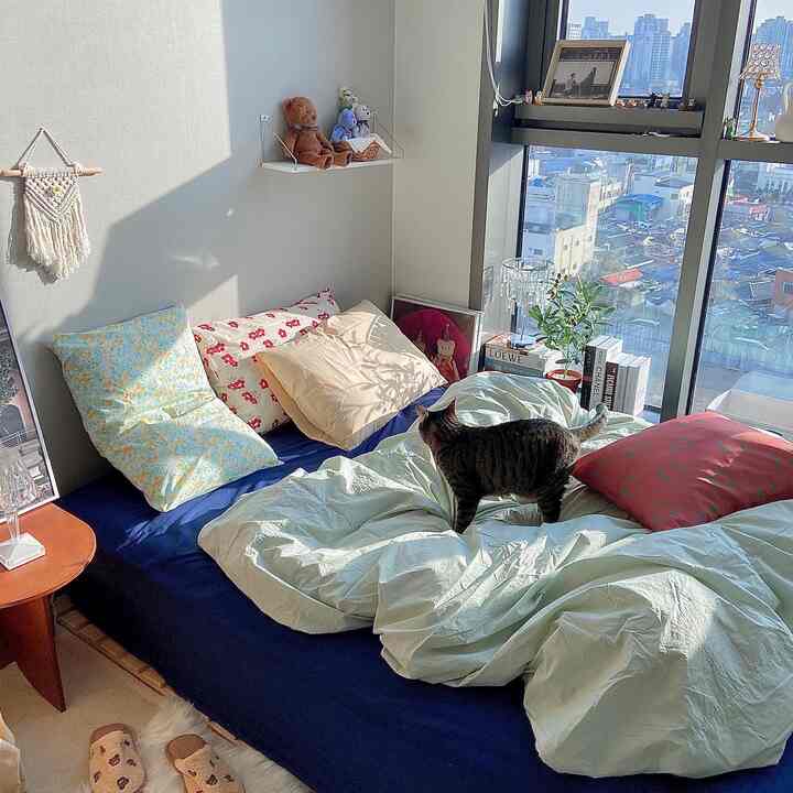少しずつ春の感じで近づきます