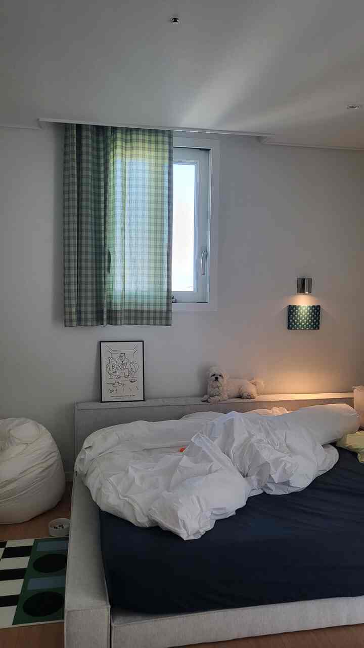 White and navy toned bedroom featuring a bed, bean bag, and a small dog creating a cozy atmosphere