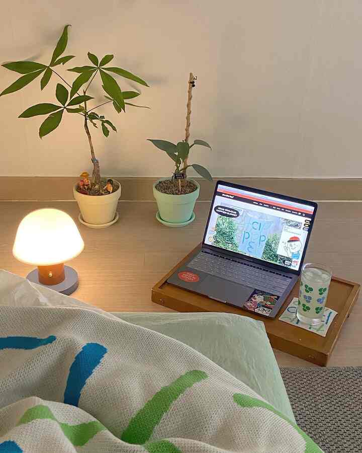 Natural color and wood tones in a bedroom featuring a bed with a throw, table lamp, and plants creating a cozy atmosphere