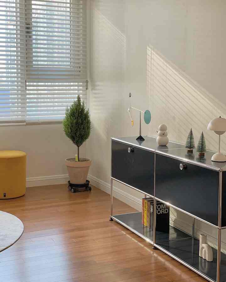 Natural color and wood tone living room featuring modern black storage unit and a green plant in a clean, simple space