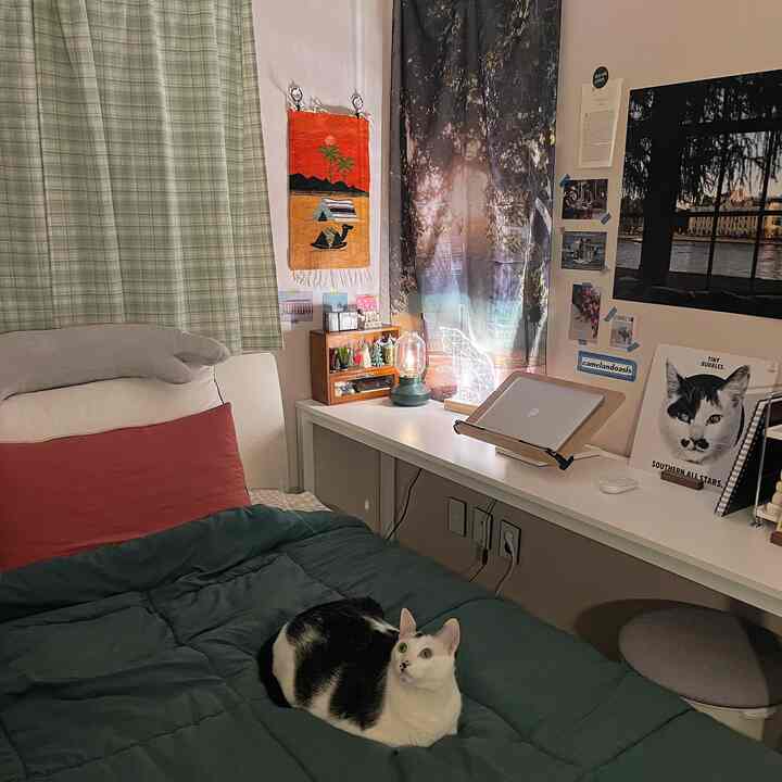 White and green toned bedroom featuring a desk with posters and curtains, cozy space with a cat lying on the bed