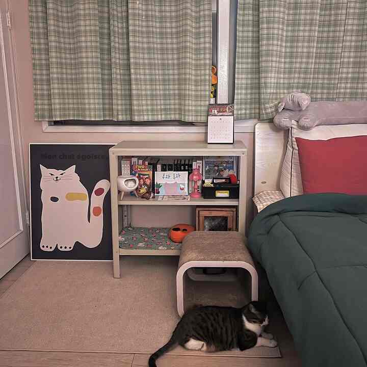 Beige and green toned bedroom featuring bedside shelf with cat-themed items and a resting cat on the floor creating a cozy atmosphere