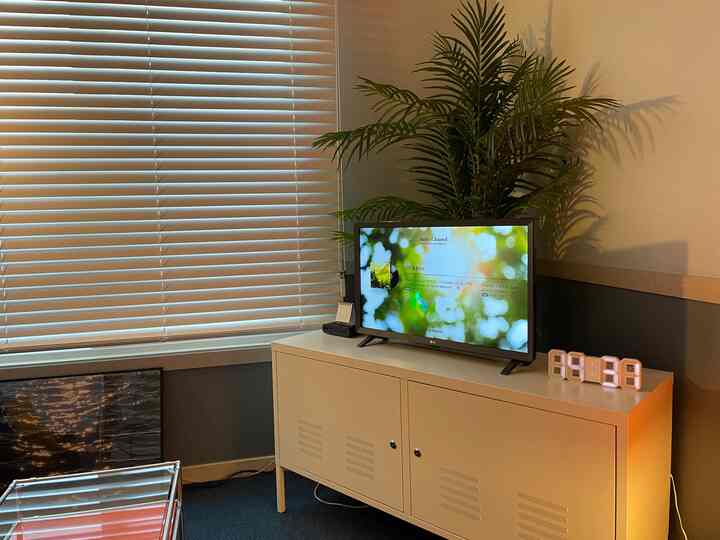 白とネイビーの色調のワンルームリビング、ミッドセンチュリーモダン家具と大きな植物が配置された雰囲気のあるインテリア