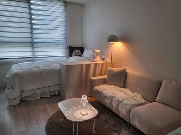 A white and beige toned studio apartment bedroom and living room featuring sofa, bed, and lighting with a warm atmosphere