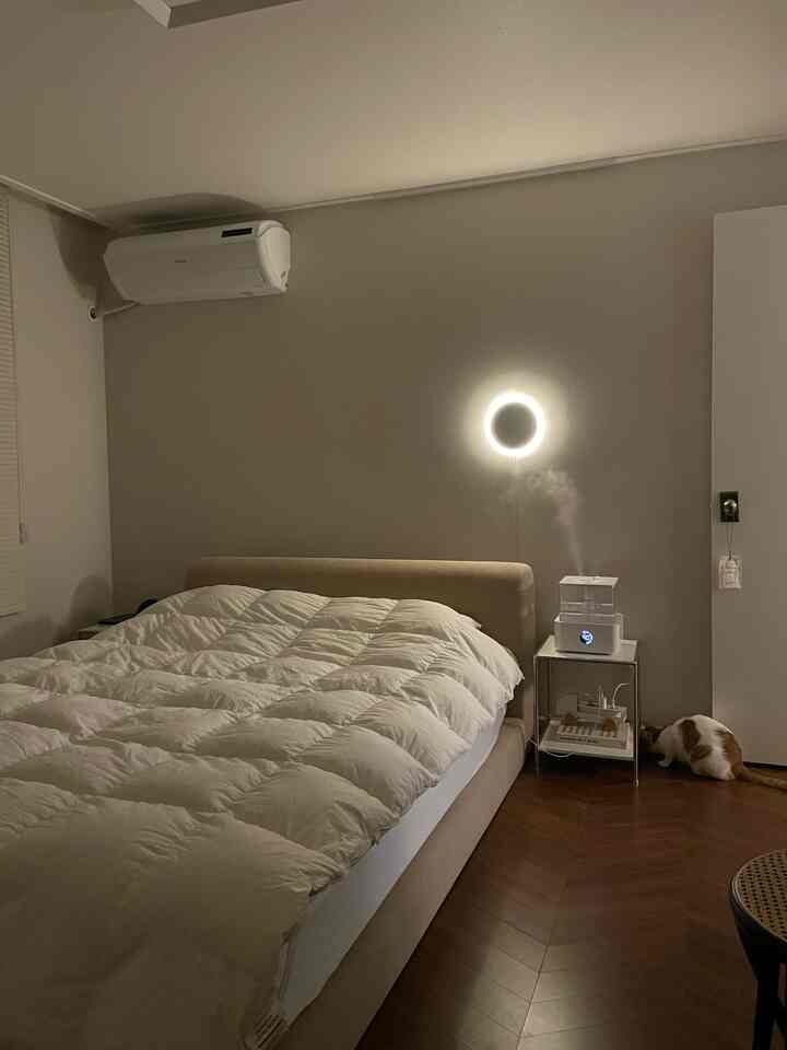 Beige-toned bedroom featuring a large bed with white goose down duvet centrally placed and a cat sitting on the right, creating a cozy atmosphere
