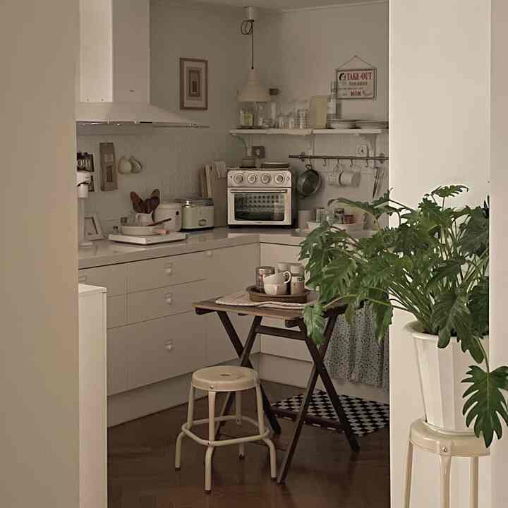 Kitchen with white and brown tones featuring a folding wooden table and a large plant creating a cozy atmosphere