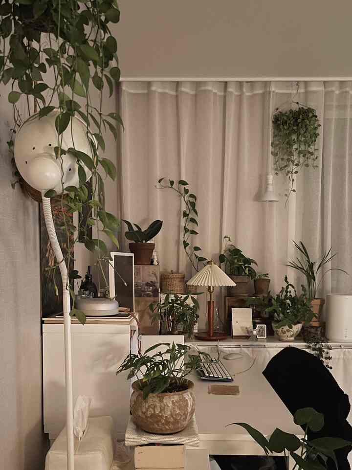 Natural-toned studio apartment home office featuring numerous plants and a vintage table lamp for cozy workspace