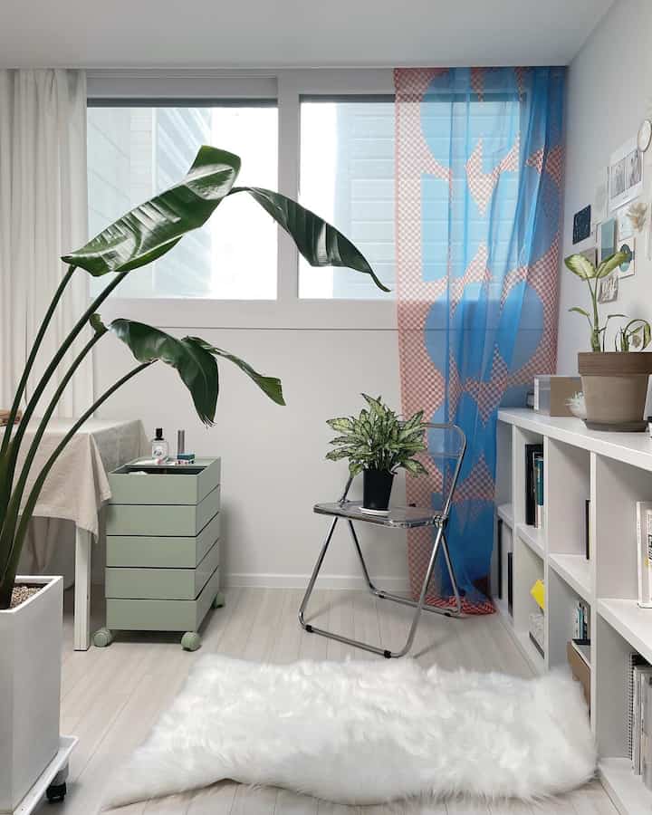 Bright white-toned small room featuring bookshelves, a transparent folding chair, and lush green plants creating a natural interior