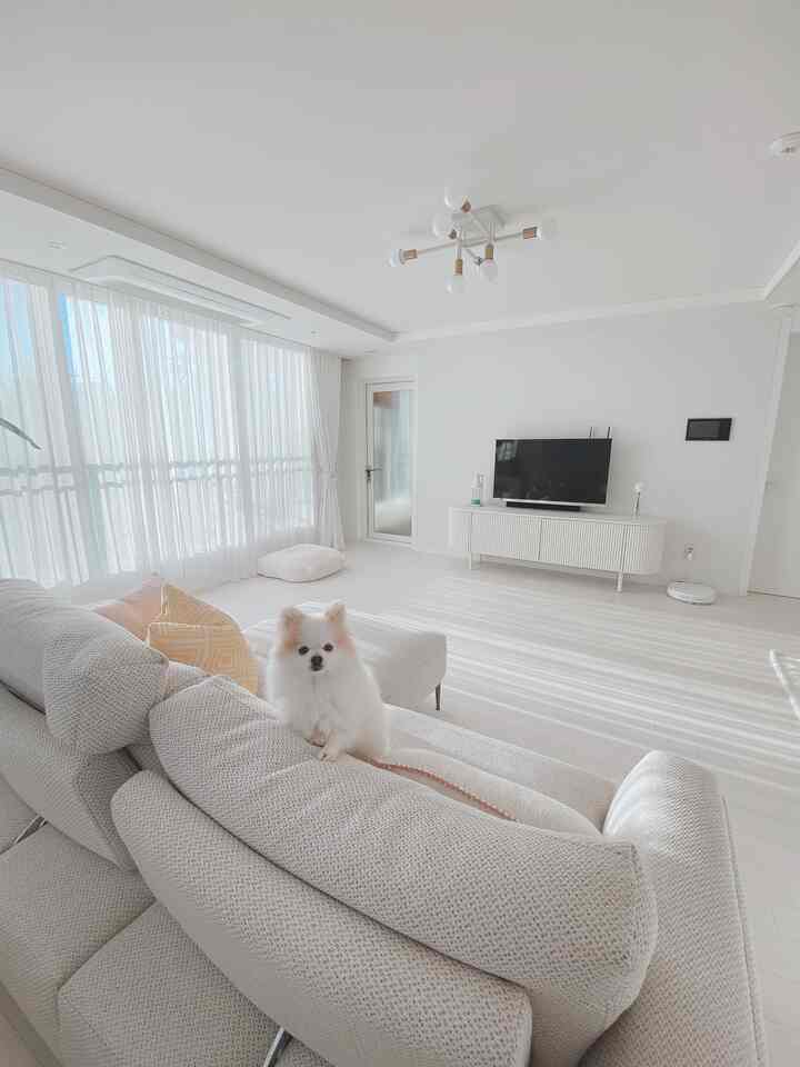 明るく白を基調としたリビングルーム、中央に大きなソファとテレビ台が配置され、ソファに犬が座っているシンプルなインテリア