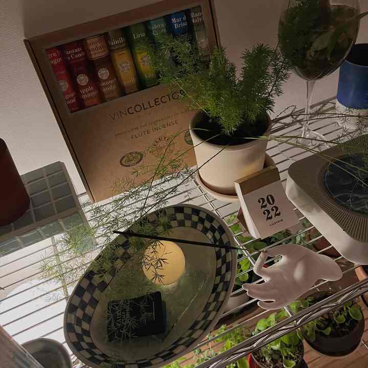 Natural color storage rack featuring plants, candle, and objets creating a cozy atmosphere