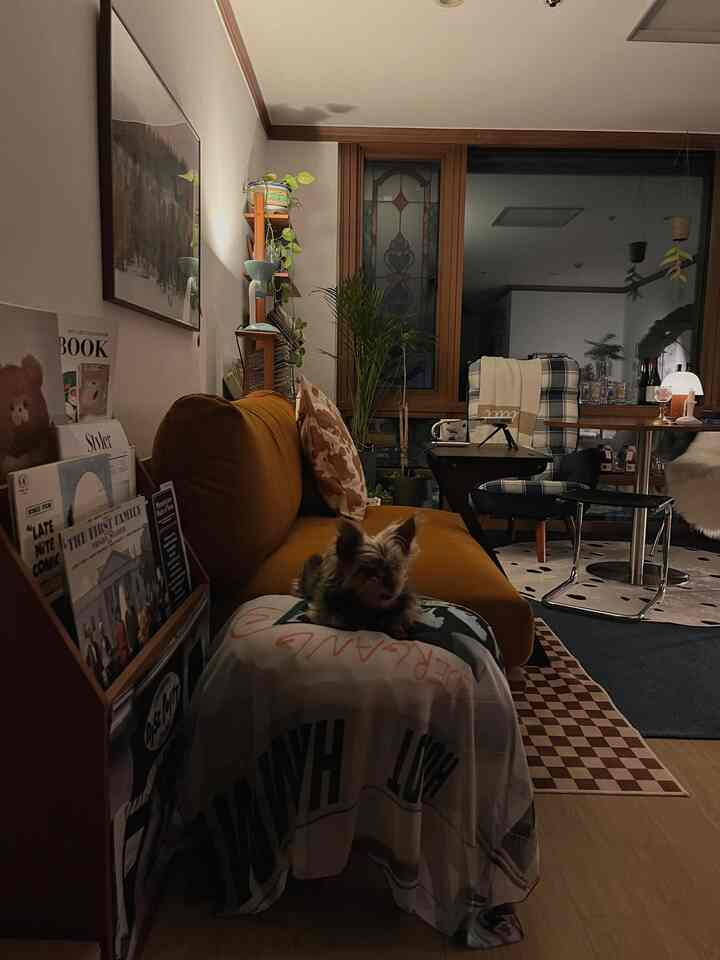 Cozy living room with warm mustard sofa and dining table, a small dog resting on ottoman creating a comfortable vibe