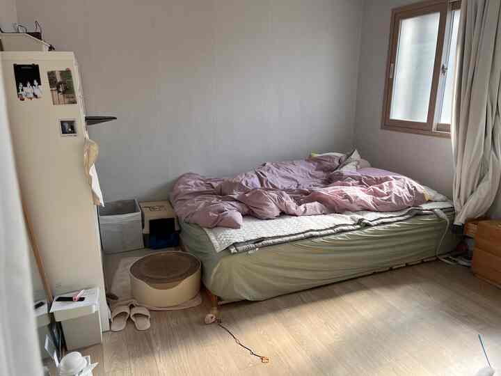 アイボリーの壁とカーテンがあるナチュラルな4.5畳の寝室、ベッドと猫の爪とぎ、猫トイレが配置されたシンプルな空間