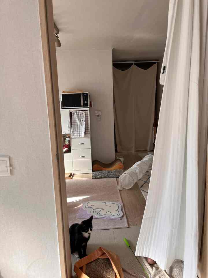 明るいナチュラルカラーの狭い部屋、猫と爪とぎ、ベージュのカーテンが配置されたインテリア