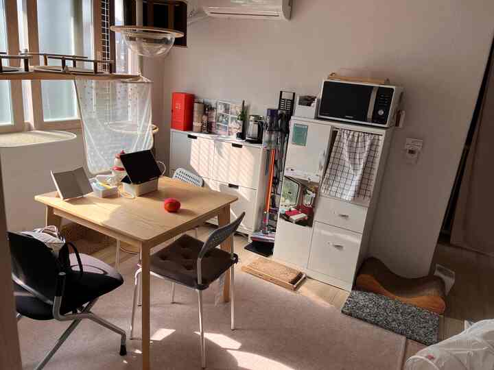 白い壁と木目調家具が融合した一人暮らし用ダイニングルーム、窓際にキャットタワーとおうちカフェ機器が配置された温かみのある空間