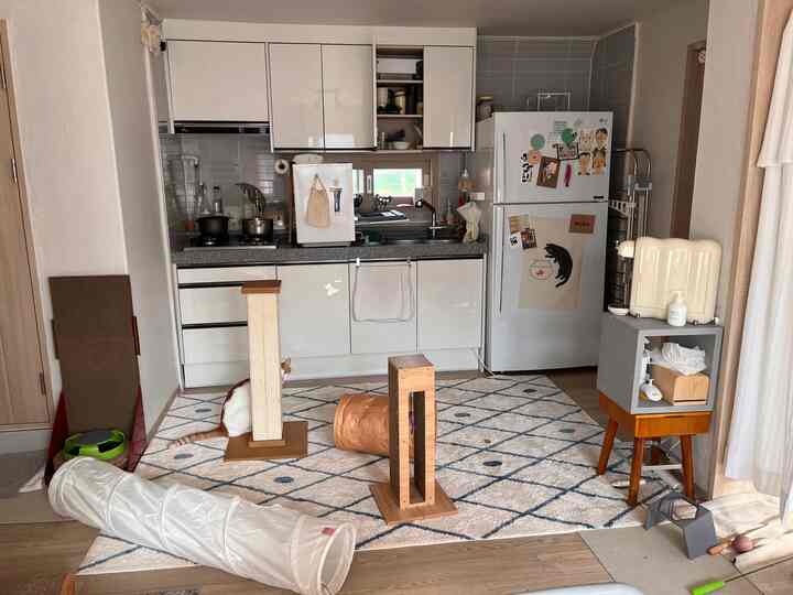 White and natural color small kitchen space with a rug, featuring cat scratching posts and toys in a pet-friendly environment