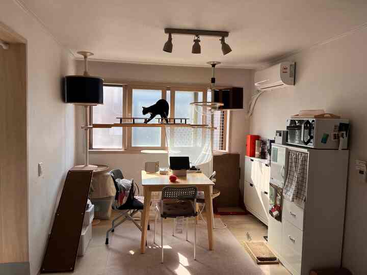 白と木目調の調和がとれたコンパクトな部屋、キャットタワーとダイニングテーブルが配置された雰囲気のあるペット空間