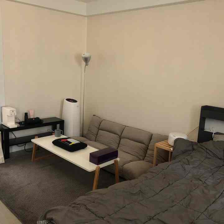 Gray-toned studio bedroom with sofa bed and coffee table arranged in a minimal and simple space