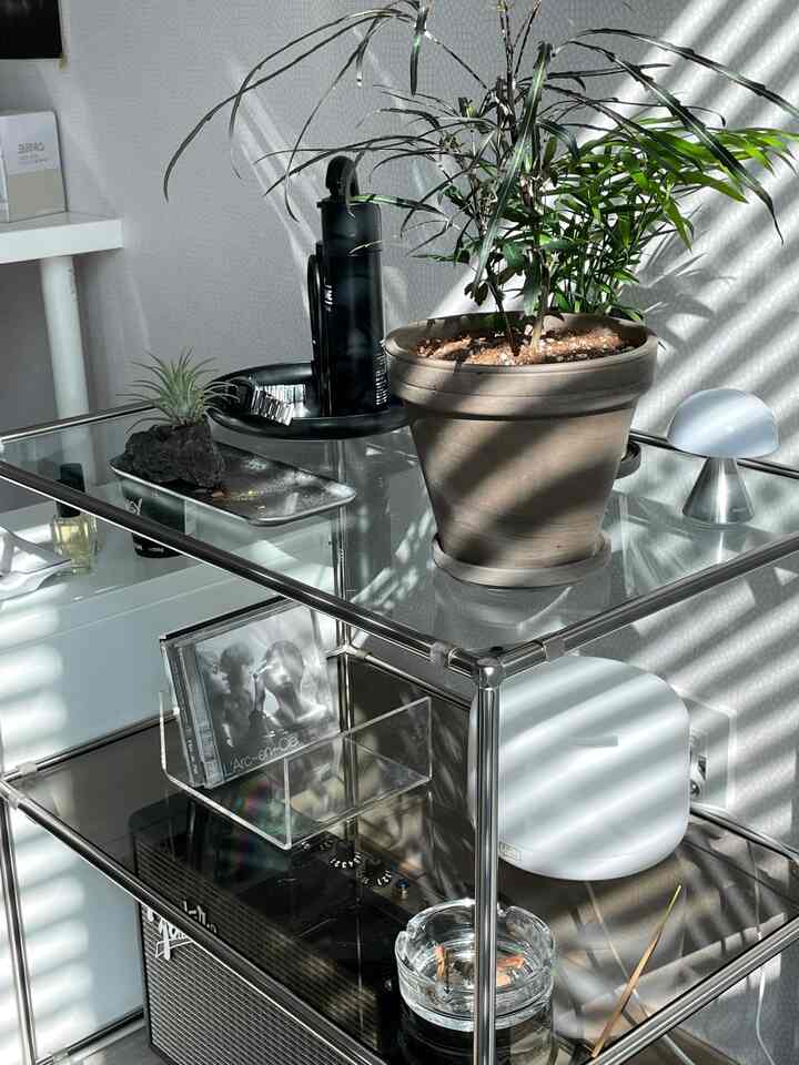 Bright toned interior space featuring silver metal and glass shelves adorned with plants and decor items