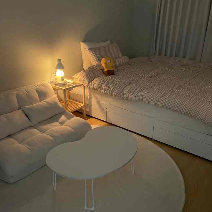 White and beige toned bedroom-living room featuring a sofa, bed, and cozy small space setup