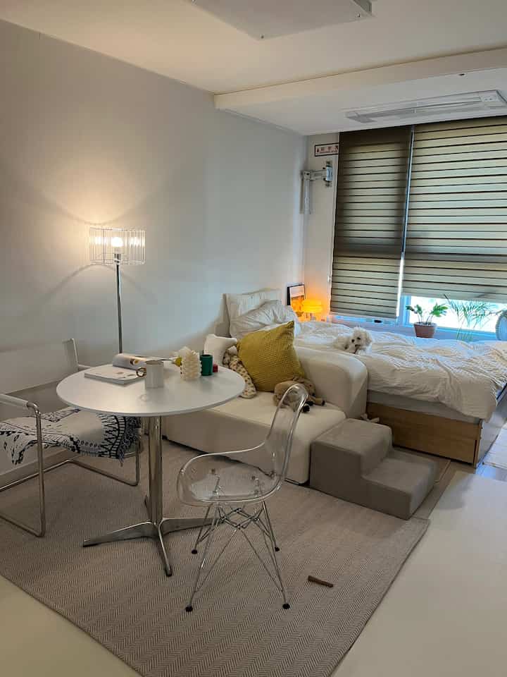 ナチュラルカラーのコンパクトなワンルームリビング兼寝室、白いソファとベッド、ペットの犬がいる居心地の良い空間