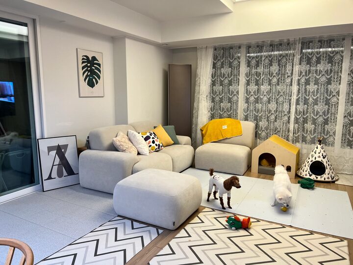 short form carousel card thumbnail