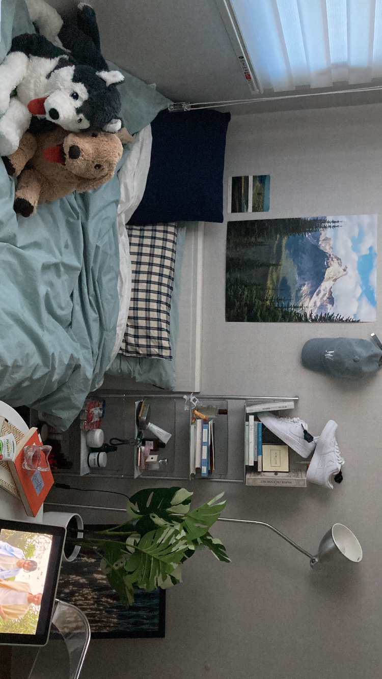 Waterproof Mattress Protector / Cover user photo
