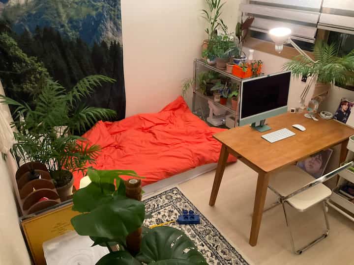 Warm wood tones and numerous green plants in a compact single household home office and bedroom space