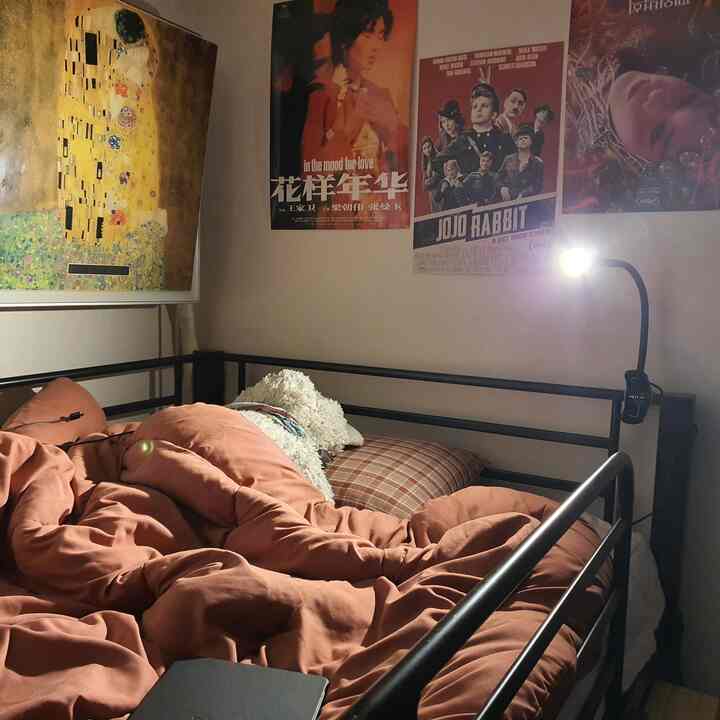 テラコッタ色の掛け布団と黒い金属フレームのベッドロフトがある居心地の良い寝室、壁にポスターとクリップ式照明が配置されている