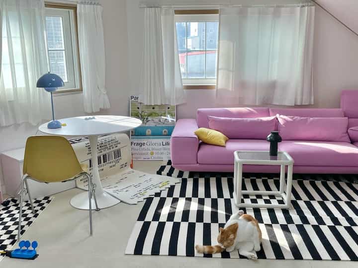 White and pink toned studio living room featuring a pink sofa, round dining table, and a cat in a cozy atmosphere