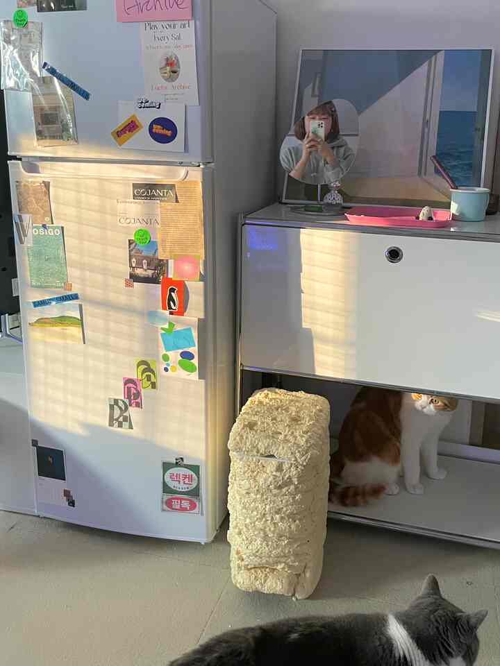 A white and yellow-toned living room featuring a refrigerator and white modular storage cabinet with two cats on the floor and under the cabinet