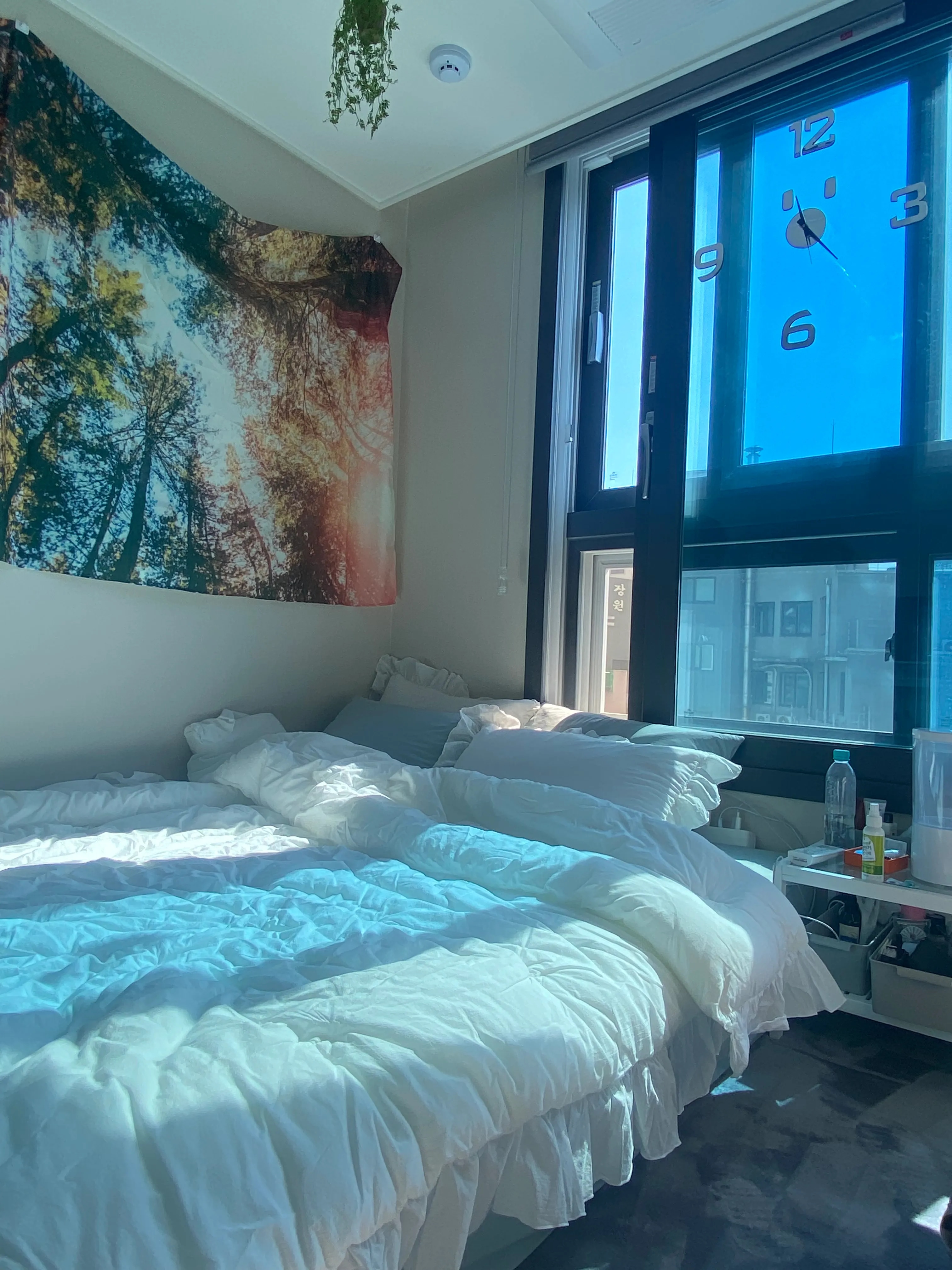 Doze High-Density Cotton Mattress Fitted Sheet user photo