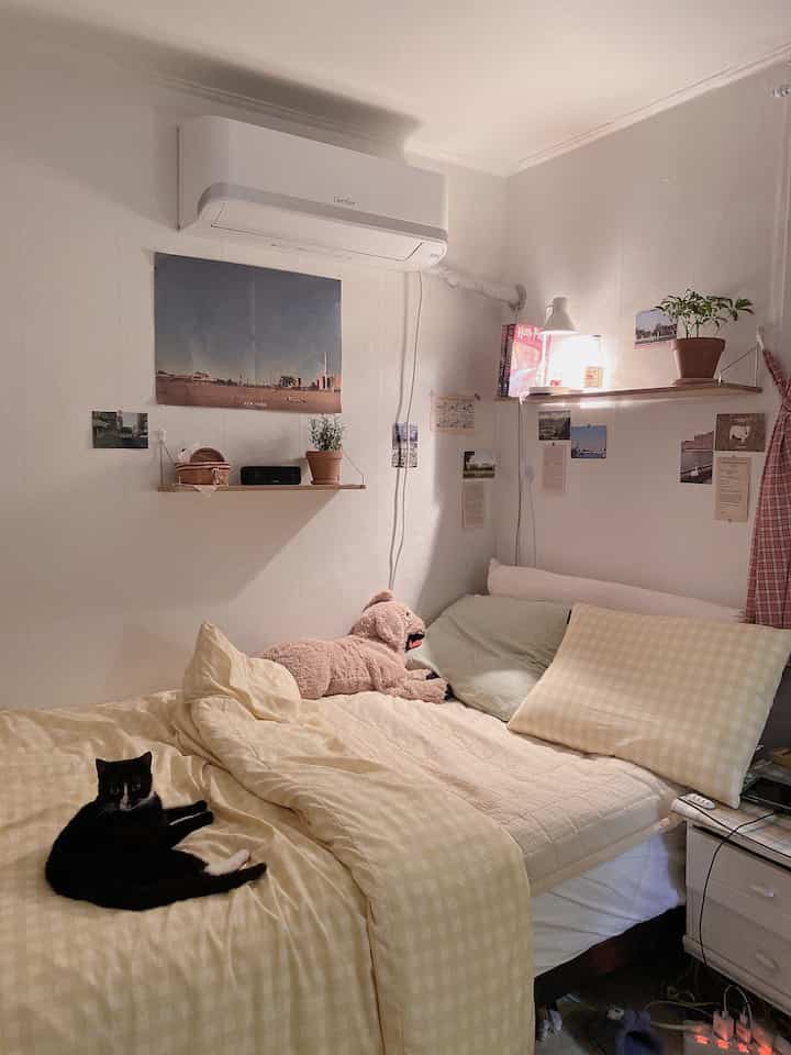 Soft yellow-toned studio bedroom featuring a black cat on the bed, wall shelves with plants, creating a cozy atmosphere
