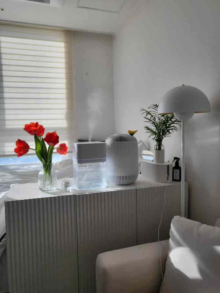 Bright white and beige toned living room featuring red tulip vase, air purifiers, and floor lamp with a natural and modern vibe