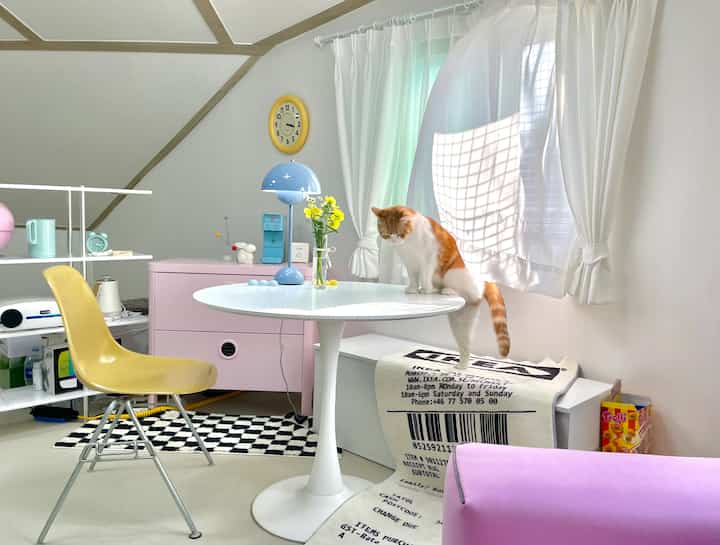 White and yellow toned studio apartment featuring a cat on a round dining table, yellow chair, and light pink cabinet with warm ambiance