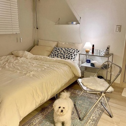 오르카홈의 예쁜 페르시안 러그를 소개합니다✨
예전부터 페르시안 러그를 참 좋아 했었는데요, 이국적이고 고급스러운 패턴이 돋보이는 디자인임에도 모던하게 꾸며놓은 집안에도 참 잘 어울리는 것 같아요! 
이 러그는 단모의 파일로 촘촘하게 제작되어 저처럼 강아지가 있는 집도 털이 박히지 않은 점, 논슬립 처리로 밀리지 않아 튼튼하게 지탱해주어 어디서든 안전한 사용이 가능하다는 점이 가장 좋았어요 💕
무엇보다도 방오성이 뛰어나서 중성세제로 닦아주기만 하면 얼룩이나 오염이 금방 제거돼서 너무 간편한 거 있죠! 게다가 값싼 원단에 쓰이지 않는 고급 잉크로 제작돼서 장시간 사용해도 빛바램이 없다고 하니 디자인과 내구성 모든 것이 제 맘에 쏙 드는 러그입니다💘