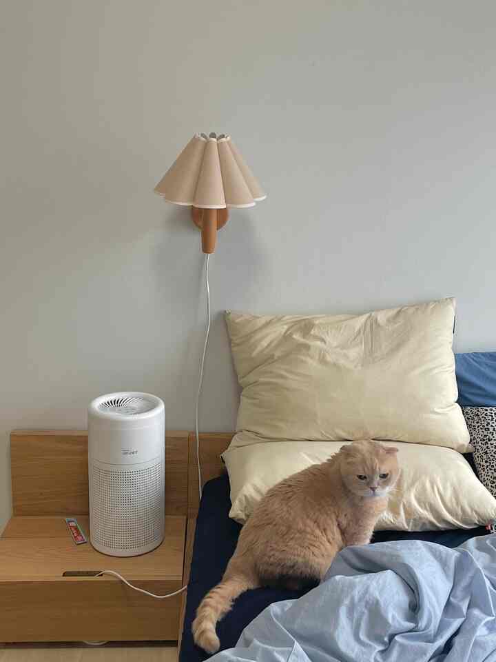 ベージュとブルーの落ち着いた寝室、枕とナイトテーブルの上に空気清浄機があり、ベッドの上に猫が座っている印象的な空間