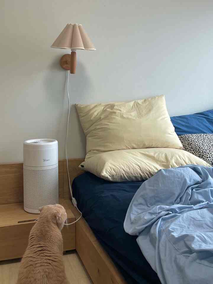 ベージュとブルーの色調が調和した寝室、木製ベッドとナイトテーブルが配置されたシンプルで落ち着いたインテリア