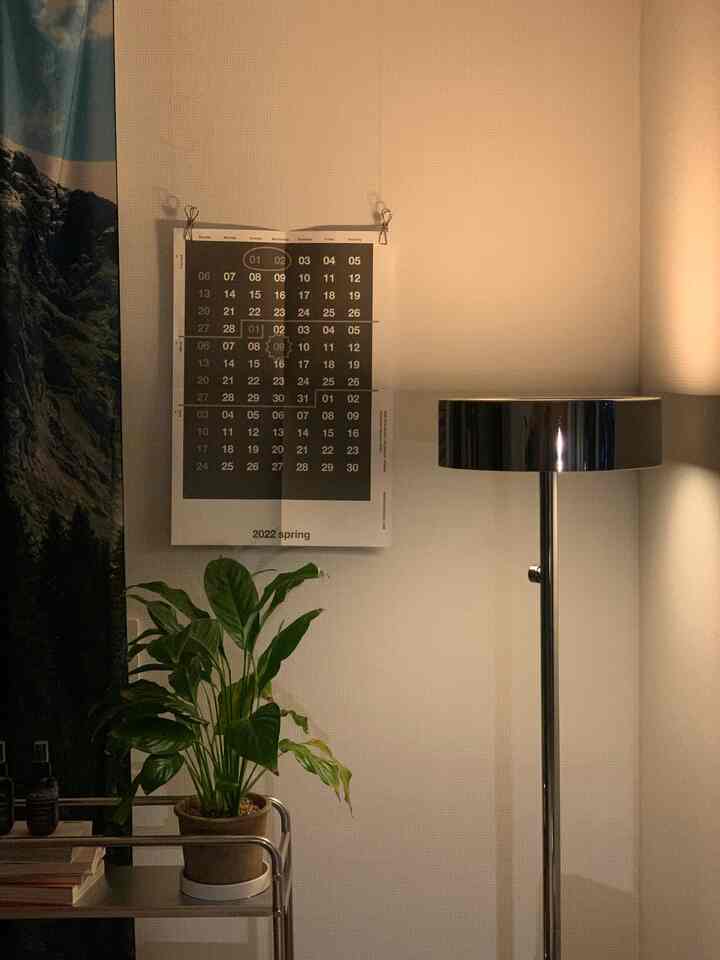 Natural-toned studio bedroom featuring a chrome floor lamp, monochrome poster, and a small potted plant creating a cozy atmosphere