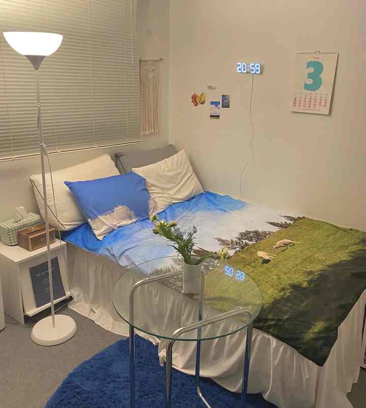 White and blue toned bedroom featuring natural decor bedding with a simple and modern atmosphere