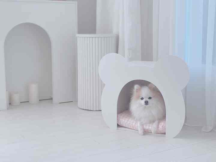白を基調としたリビング、かわいいクマ型ペットハウスと犬が配置されたシンプルな空間