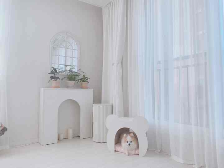 Cozy white-toned room featuring a bear-shaped pet house and plants, reflecting pet-friendly living in a living room