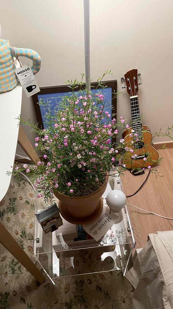 Wood tone small room featuring a transparent acrylic side table with a pink flowering plant