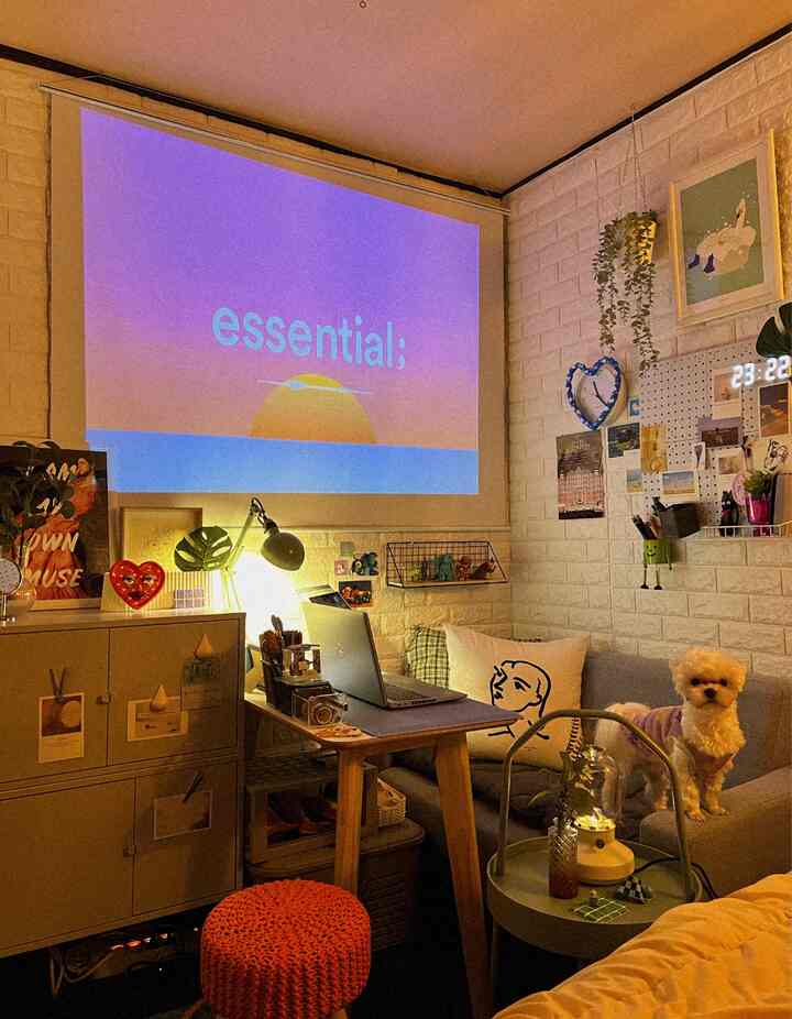 Warm brown and gray toned bedroom and study space featuring a blackout curtain, projector screen, sofa with a small dog, creating cozy atmosphere