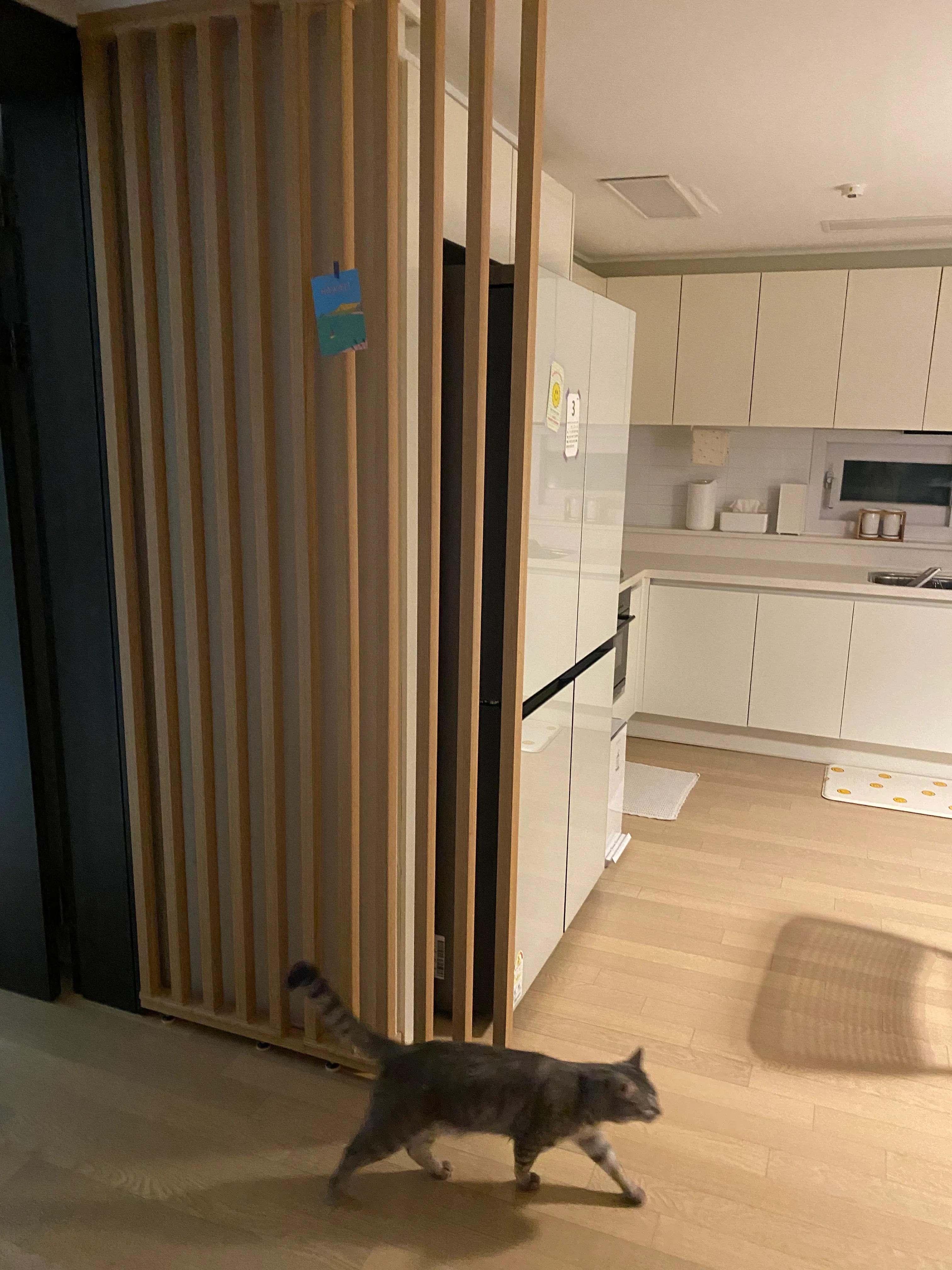 Micro Pattern Cotton Gauze Kitchen Towel user photo